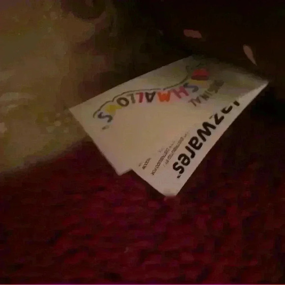 Squishmallow Rocky the Raccoon with sweater 8inch bundled with Hans Hedgehog - Picture 1 of 8